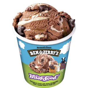 Ben Jerry phish food ice cream tub 465ml