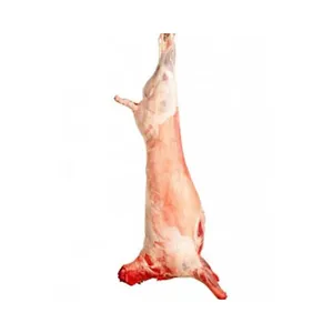 Halal Whole Lamb
