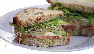 Vegetable Sandwich