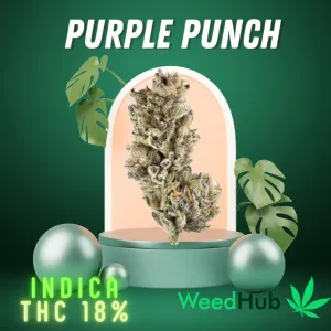 Purple Punch (per gram)