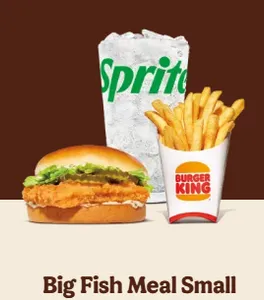 Big Fish Sandwich Meal (Small)
