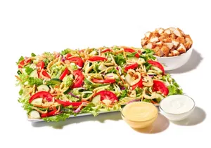 House Zalad Platter with Chicken Fingers and Grilled Fillets