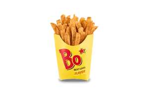 Seasoned Fries (Regular)