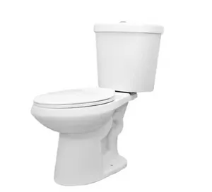 Dual Flush Elongated Toilet in White Seat Included