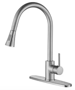 DAX Single Handle Pull Down Kitchen Faucet with Dual Sprayer and Deck Plate, Brushed Nickel Finish (DAX-8880)
