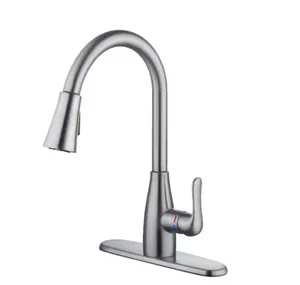 McKenna Single-Handle Pull Down Sprayer Kitchen Faucet in Stainless Steel