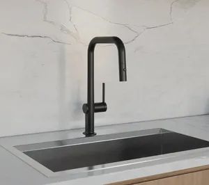 DAX Single Handle Pull Out Kitchen Faucet (DAX-8020007)