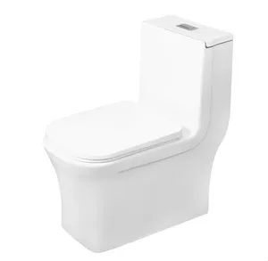 DAX One Piece Square Toilet with Soft Closing Seat and Dual Flush High-Efficiency, Porcelain, White Finish, Height 28-3/4 Inches (BSN-835)