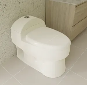 DAX One Piece Modern Oval Toilet (BSN-CL10012A)