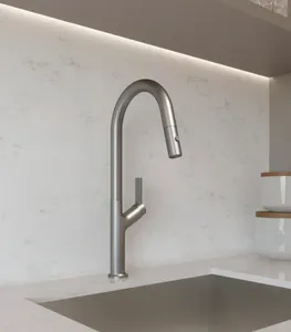 DAX Single Handle Pull Out Kitchen Faucet (DAX-8219)