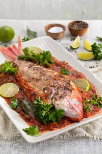 Caribbean red snapper