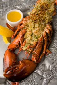 Langosta jumbo 800 gr --- 1 kg