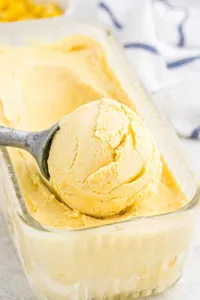 Large Scoop