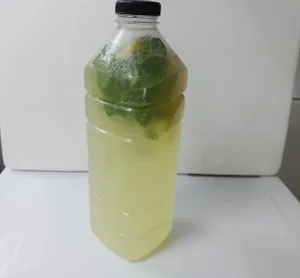 Mojito Classic bottle