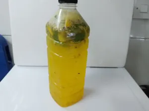 Mojito Passion Bottle
