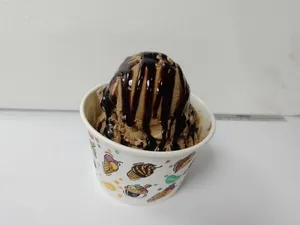 Chocolate Ice Cream
