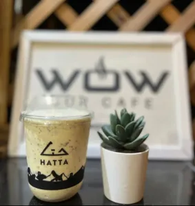 Coconut Milk Shake                                                                   ميلك شيك جوز الهند