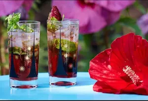 Hibiscus Mojito                                                                   كركديه موهيتو