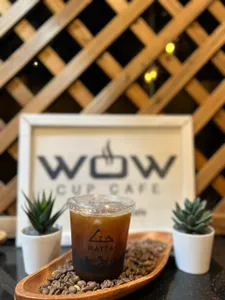 Iced Americano                                                                         أمريكانو مثلج