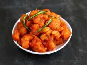 Gobi 65