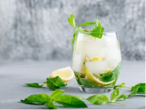 Mint Mojito