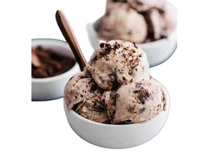 Chocolate Fudge Ice Cream