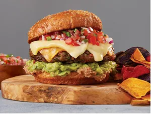 veg CHeese Mexican Burger