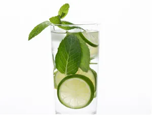 Fresh Lime Mint Soda