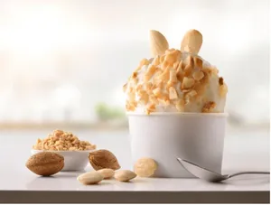 Dry Fruit Ice Cream