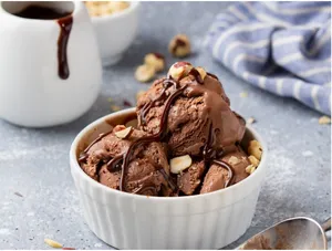 Nutella Fudge Ice Cream