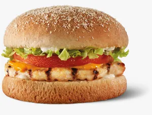 Peri Peri Burger