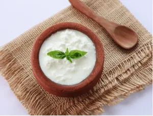 Plain Curd
