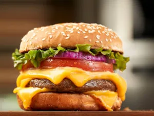 veg Cheese Burger