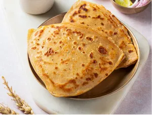 Plain Paratha