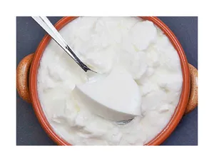 Plain Curd