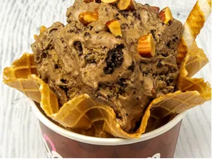 Nutty Chocolate Ice Cream