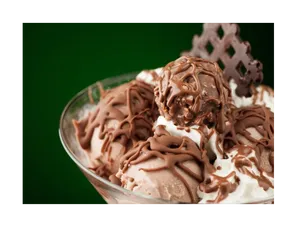Chocolate Gudbud