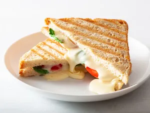 Veg Cheese Sandwich