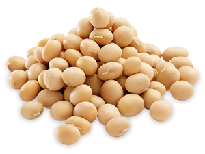 Soyabean