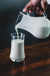 Cow Milk