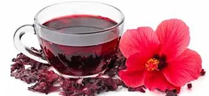 Hibiscus/Karkade