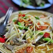 Northern Thai Style Papaya Salad
