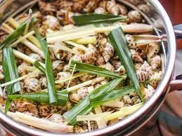 Steamed Snail In Broth