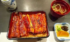 Unagi Don