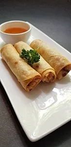 Crispy Spring Rolls