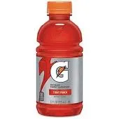 Gatorade Fruit Punch