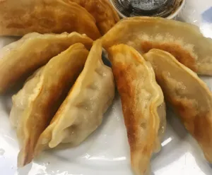 Pan Fried Pork Dumplings