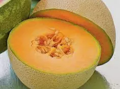 Melon in Season