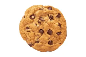 Chocolate Chip