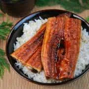 Grilled Eel (Unagi) W/ Avocado, Eel Sauce Rice Bowl